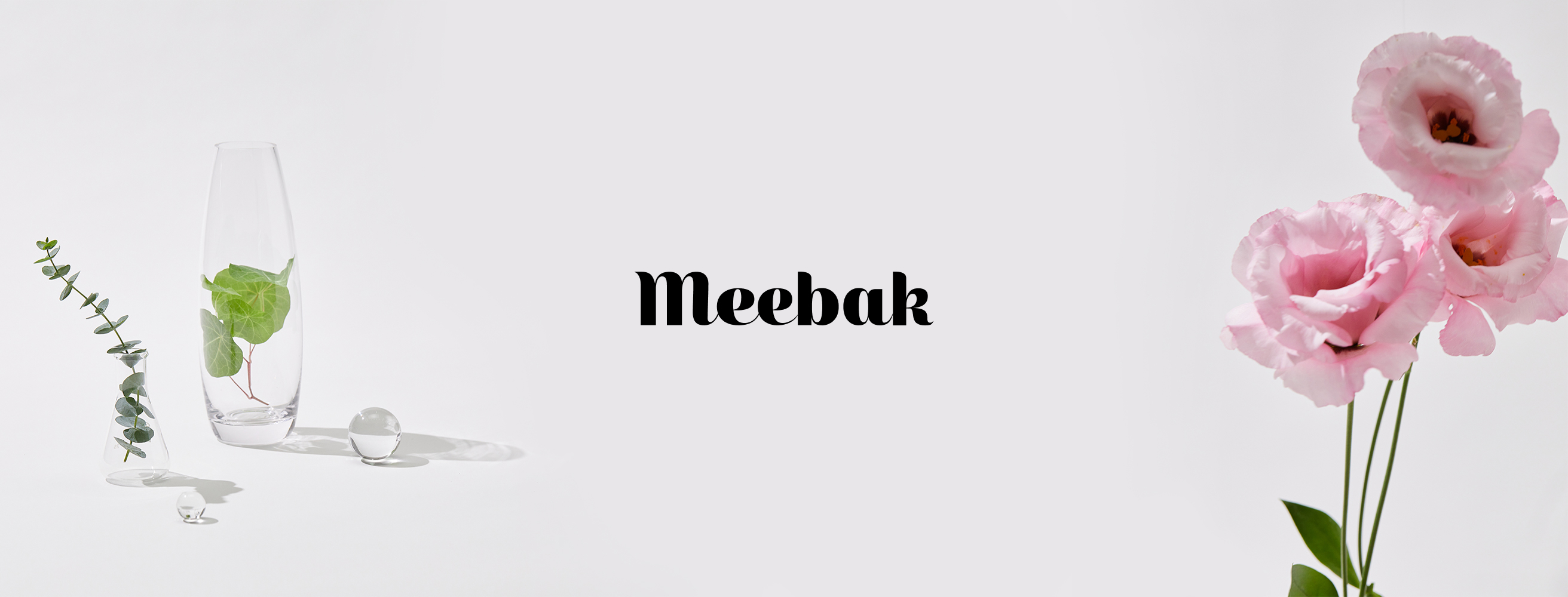Meebak brand visual