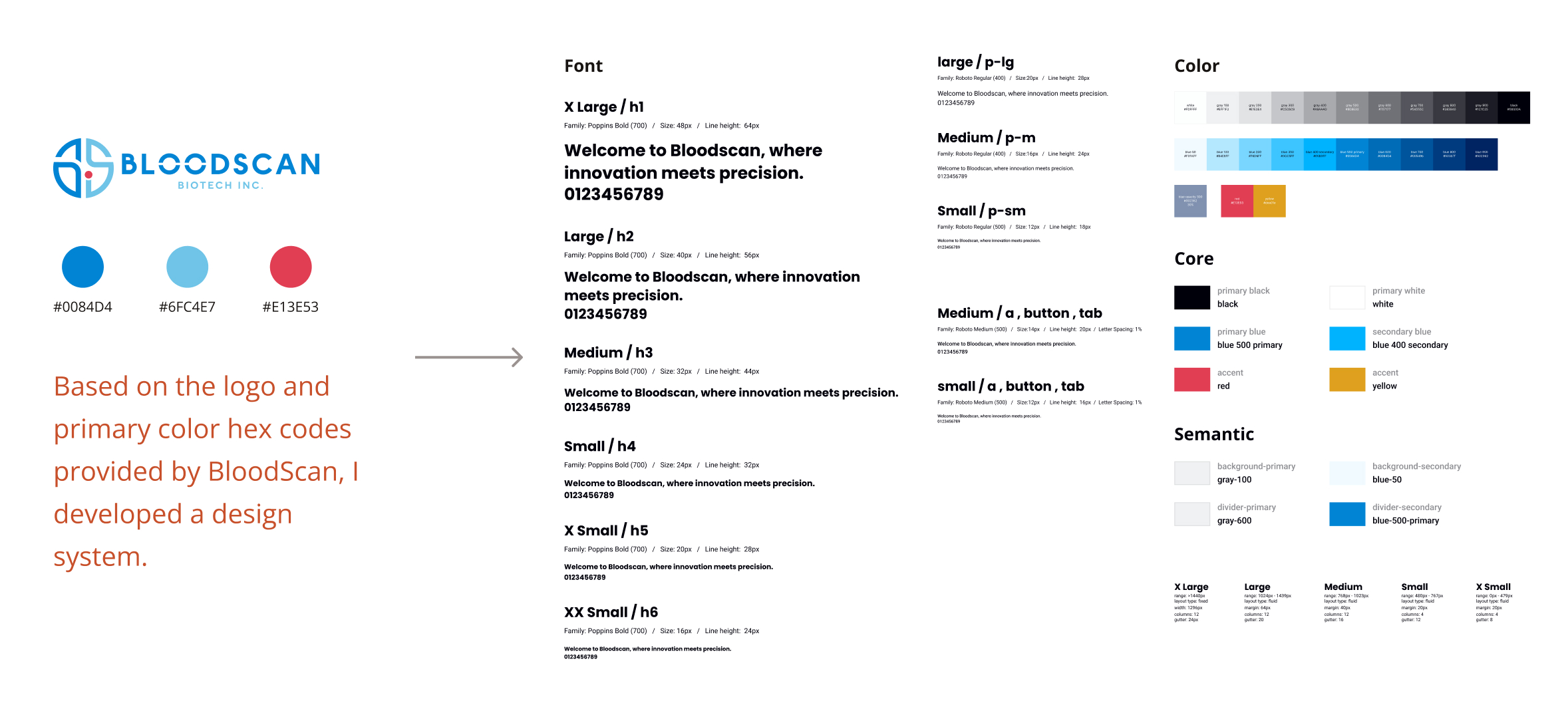 BloodScan design system overview